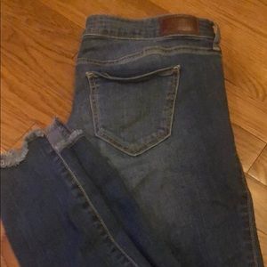Hollister jeans